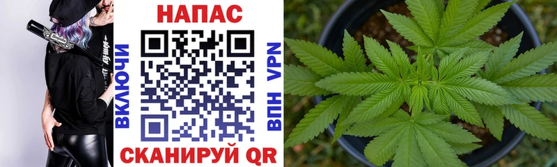 МАРИХУАНА планчик  сколько стоит  Калининец 
